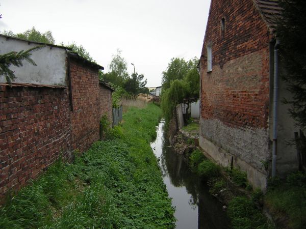 zdjecie Sulechów