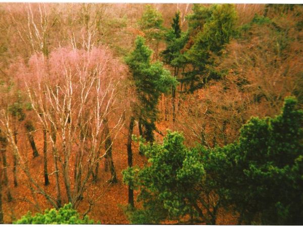 Park "Bolesława Chrobrego"