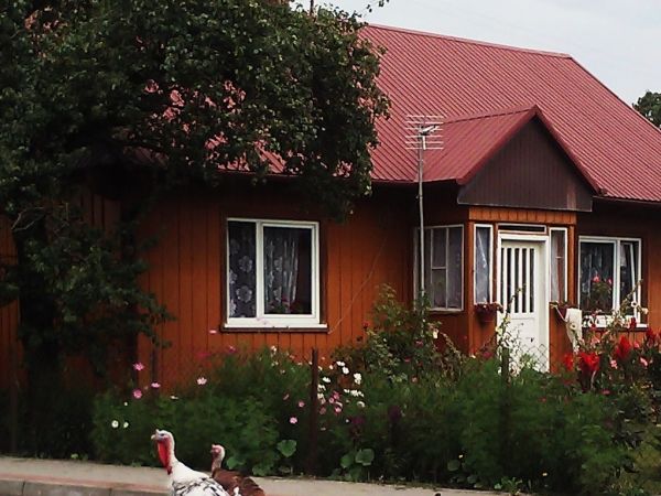 Niedzielny spacerek ulicą w Strzelcach Wielkich.