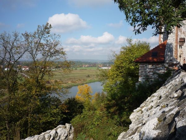 Widok na Dolinę Wisły