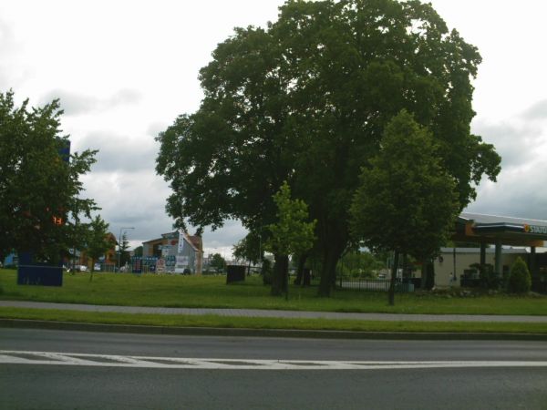 Róg ul. Bolesława III Krzywoustego i ul. Antoniego Abrahama.
Miejsce dawnego Cmentarza Żydowskiego.(Jewish cementary)