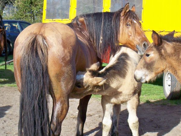 Takie widoki w naszej wsi to codzienność!!!