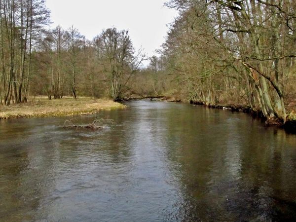 Rzeka Wda widziana z kładki dla pieszych