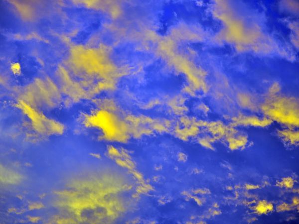 zdjecie Wodzisław Śląski