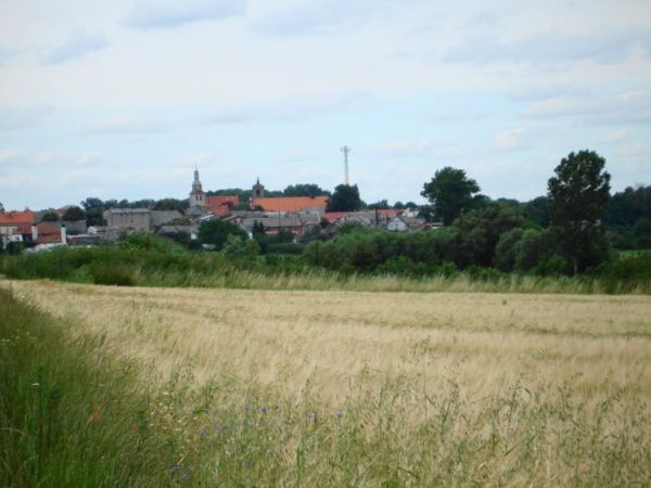Widok na obrzeże miasta z kerunku Kościerzyna Małego (St. Piechota)