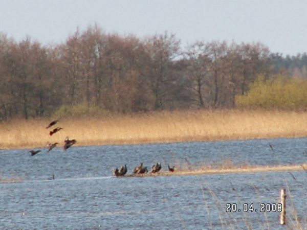 zdjecie Gardna Wielka