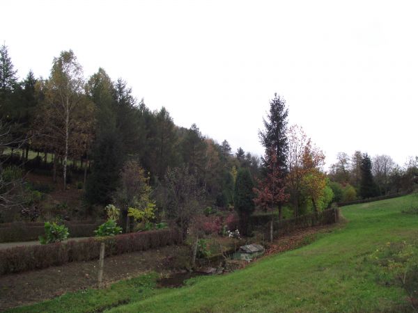 przystrojona dolina - ziemia pachnie, z trawy wyglądają ciekawskie stokrotki...