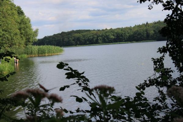 Jezioro Trzesiecko / Szczecinek