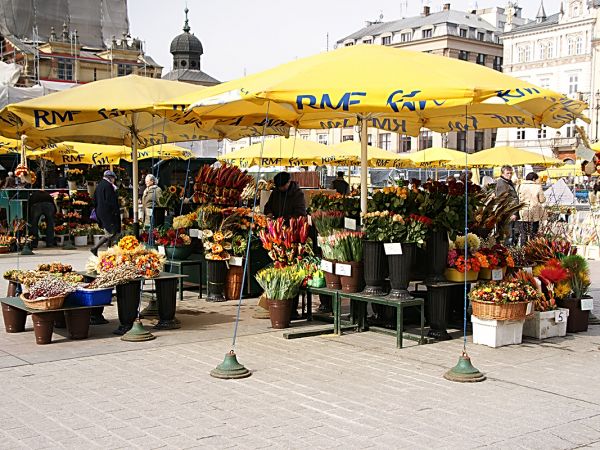 KRAKÓW-Rynek Główny