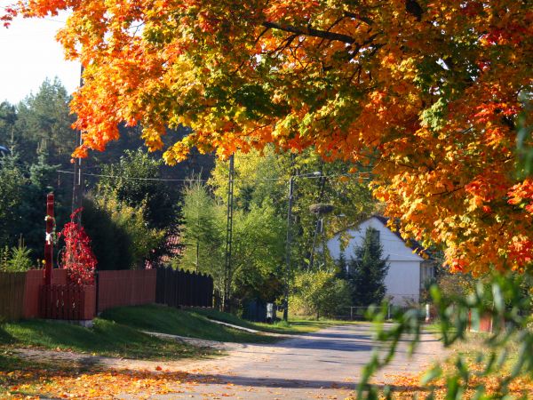 zdjecie Tyniewicze Duże