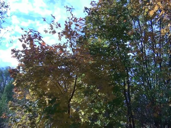 Okolice Głogowa. Wzgórza Dalkowskie