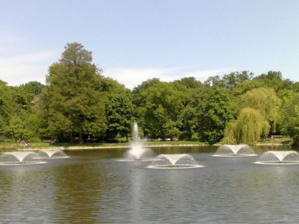 zdjecie Wrocław