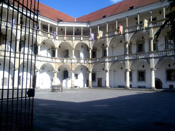 Dziedzinie zamku Piastów Śląskich