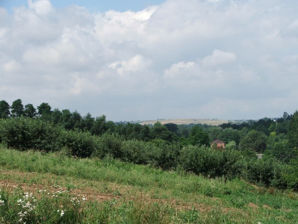 Widok w kierunku zachodnim (na horyzoncie widoczna wieś Gołcza)