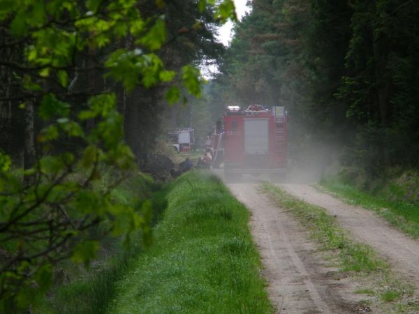 w roku 2016 się paliła puszcza Zgorzelecko Osiecznicka sporo hektarów