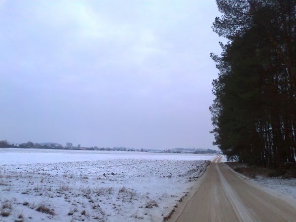 Wiosna przyjdzie znów..czekam..:))))