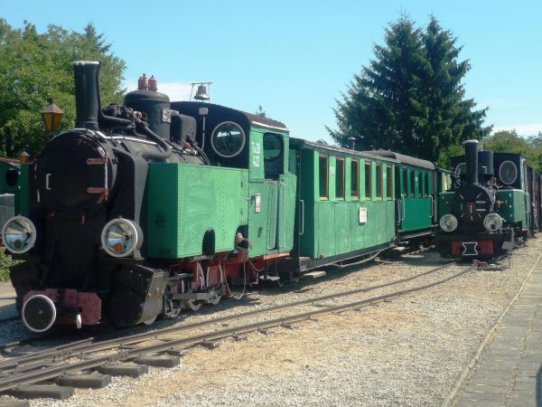 Bogate i różnorodne Muzeum Kolei Wąskotorowej . Jedyna na ziemiach polskich o rozstawie szyn tylko 60 cm.