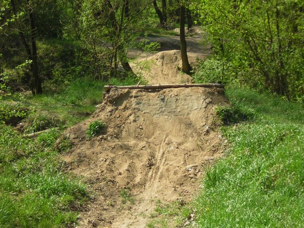 zdjecie Sulechów