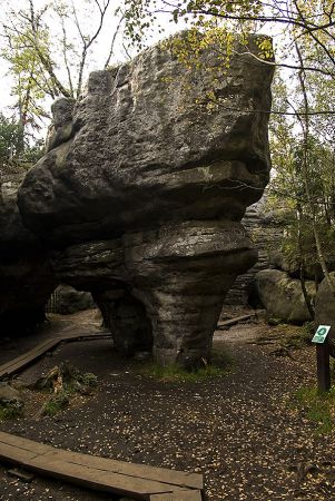 Karłów-Błędne Skały ,"Dwunożny Grzyb"