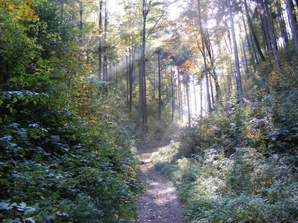 Droga na Górę Bardzką