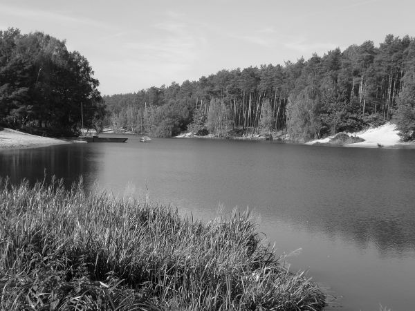 zdjecie Kobyla Góra