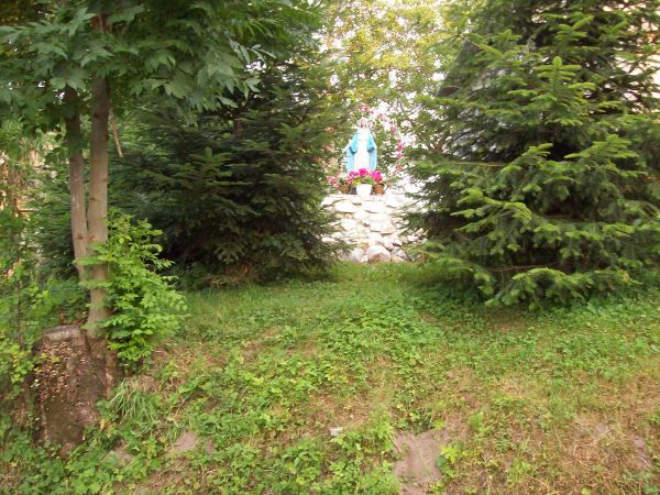 zdjecie Wola Rokietnicka