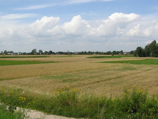 zdjecie Brzostków