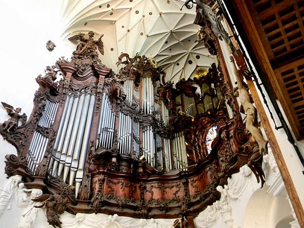 Organy w Katedrze oliwskiej