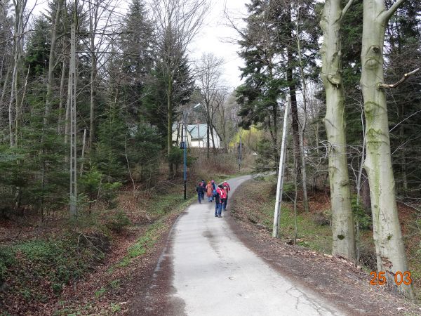 do ścieżki przyrodniczo-dydaktycznej  - a prowadzi ona na terenie Nadleśnictwa Brzozów, w VIII Karpackiej Krainie Przyrodniczo-Leśnej w 2 Dzielnicy Pogórza  Śro