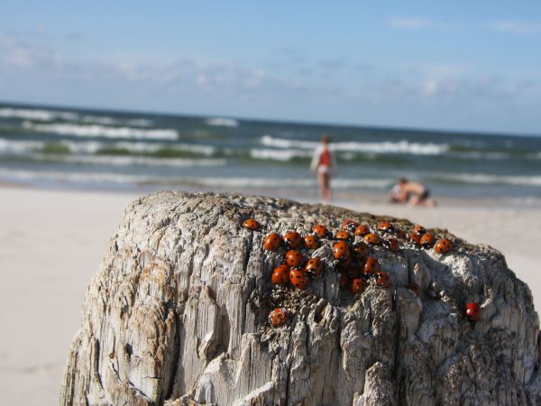 Natura i piękno naszej wsi!!