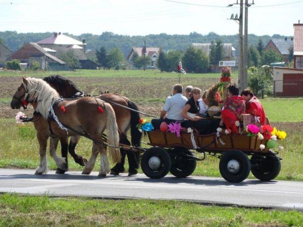 Bryczka - gospodarstwo Pana Wesołowskiego, Ispina