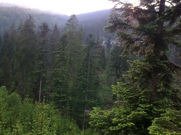 Kamesznica Wojtasówka