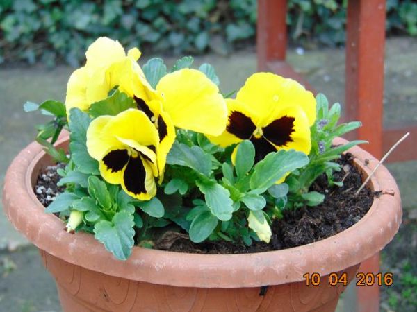 zdjecie Żarki Średnie