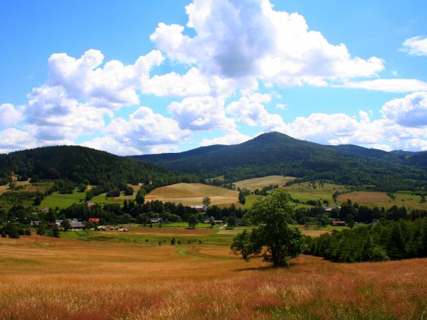 zdjecie Stary Gierałtów