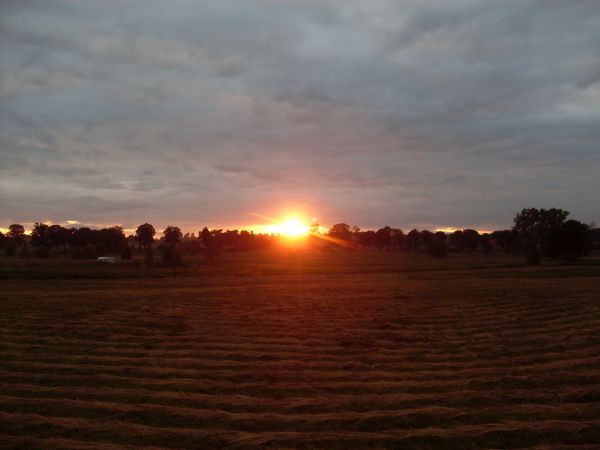 Pola nad rzeką Pasłęką- ZATORZE Gamerek W.