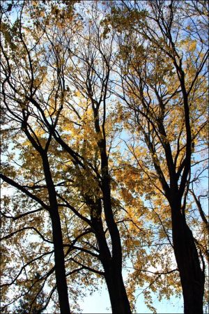 Klasztor i park  ss. Niepokalanek na Głębokiej.