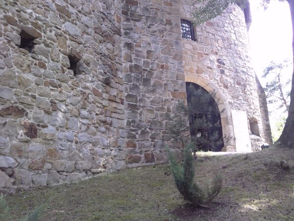 zdjecie Wytrzyszczka