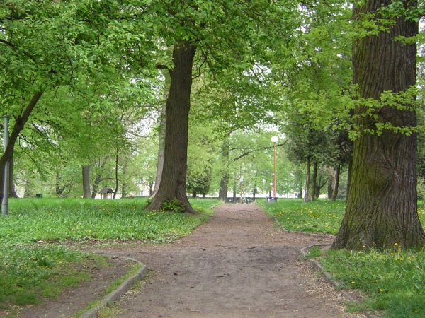 zdjecie Sulechów
