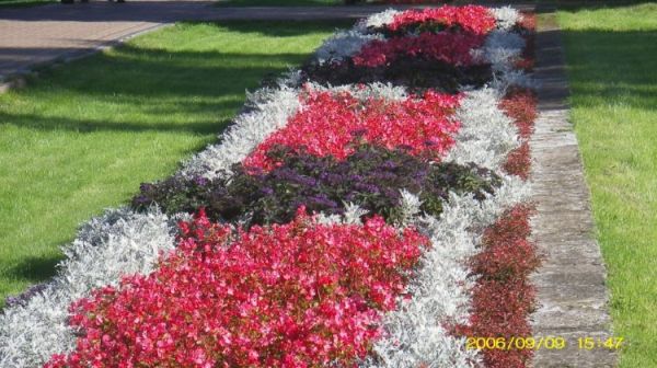 Ciechocinek - piękne dywany kwiatowe