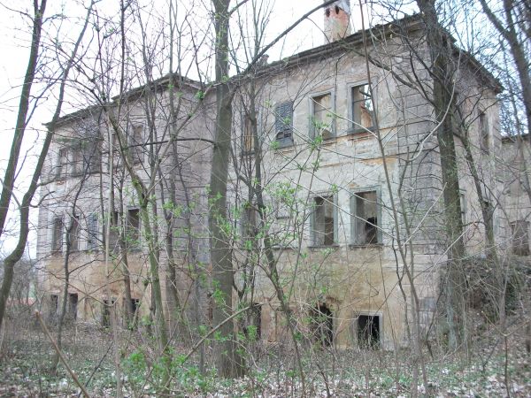 Niebywałe w gęstwinie zarośli napotykamy  majestatyczną ruinę, kiedyś zapewne potężny i piękny pałac, dziś jego szczątki (...)