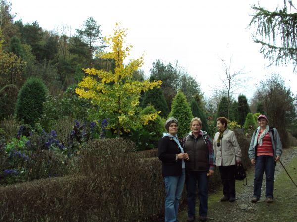 w bajkowej scenerii ogrodu / arboretum dra Bukreja.