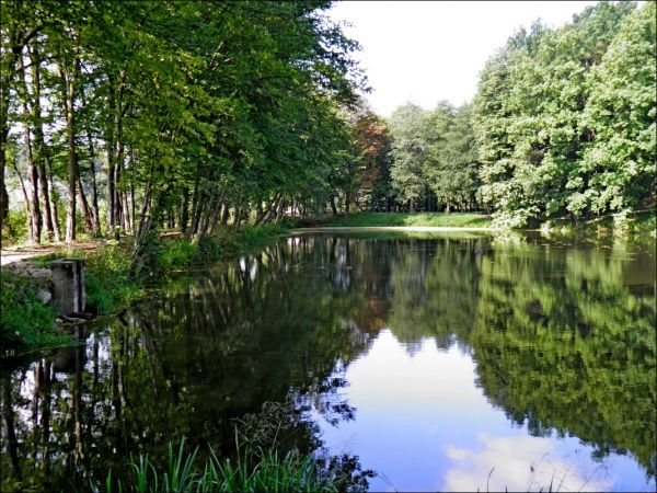Dwór Szlachecki z końca XIX wieku otoczony parkiem krajobrazowym i stawem. Do 1945 roku należał do rodziny hrabiów Łastowieckich.