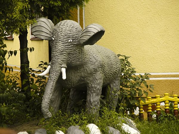 Słonik- Zarzecze koło Niska