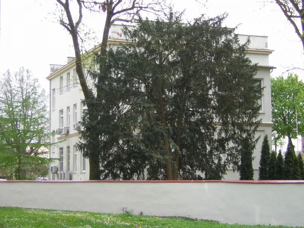 zdjecie Sulechów