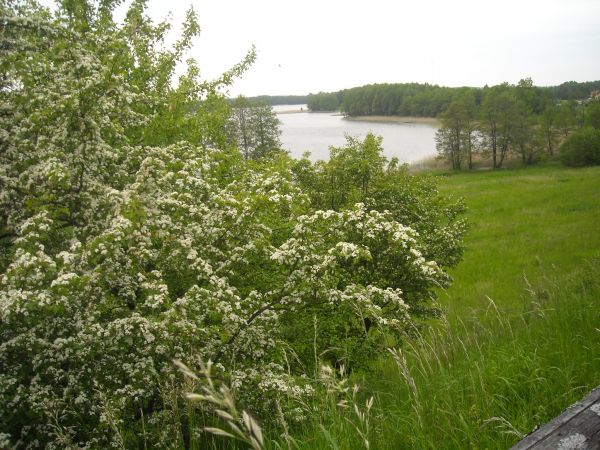 zdjecie Konopki Wielkie