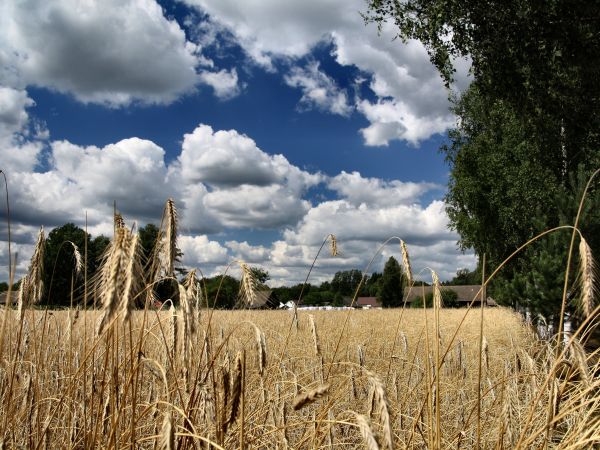 zdjecie Tyniewicze Duże