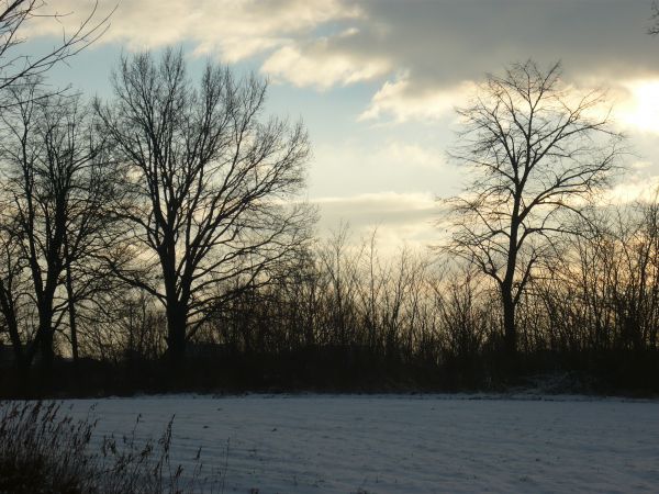 zdjecie Wola Wężykowa