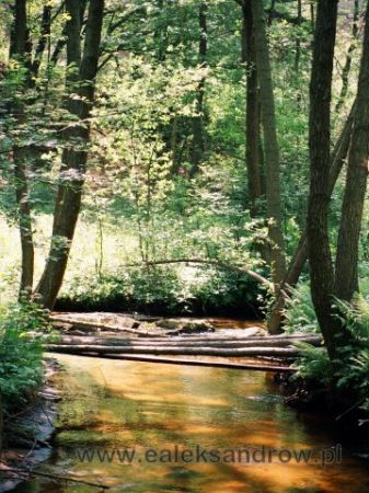 zdjecie Aleksandrów