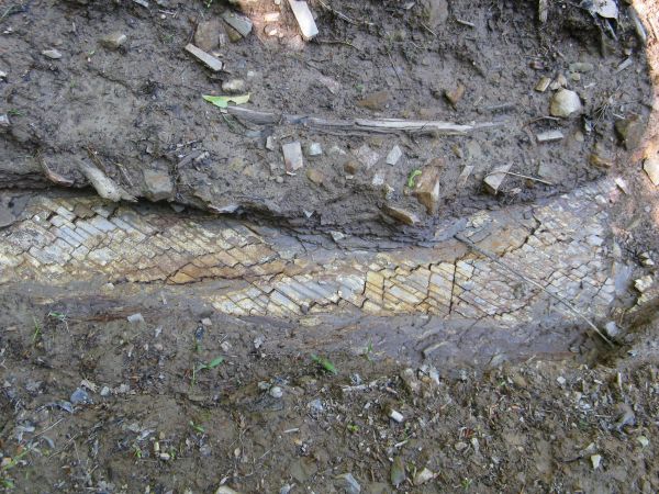 koryto potoku Tyrawka, to na jego ostrogach kilkanaście lat temu znaleziono kły mamucie, prezentacja fliszu karpackiego... przy okazji: w "Przygodach Dobrego Wo