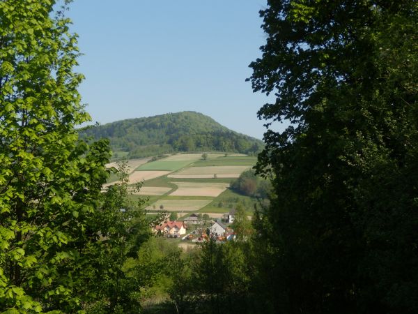 zdjecie Stępina